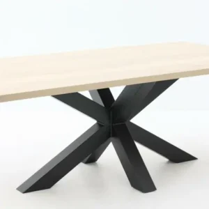 Hoge Kwaliteit Vergadertafel - kantinetafel industrieel - kruispoot 220x110cm
