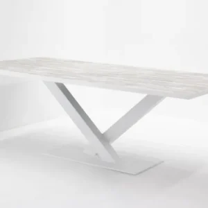 Vergadertafel - kantinetafel industrieel - V-poot 220x110cm Shop Nu