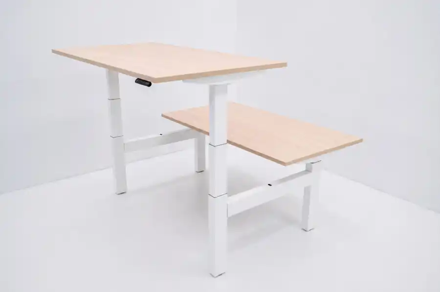 Zit sta bureau THO duo - Werkblad Ahorn Fabrieksprijs