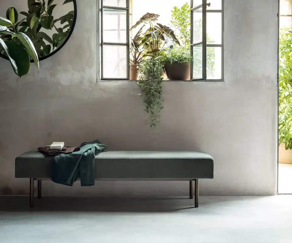Aanbieding Novamobili Bankzitting Kerk gestoffeerd Bekleding Frida 28 Lichtgrijs Kleur Frame Matgroen - 342 Foglia (vergelijkbaar met RAL6003)