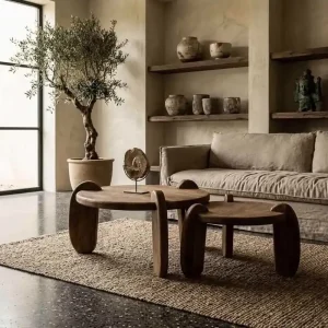 Beperkt Aanbod Salontafel Nyawa teak