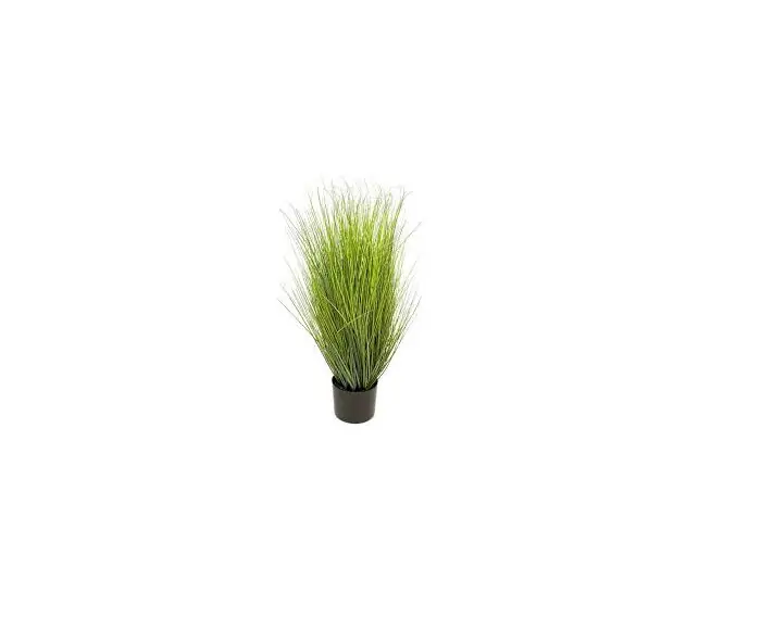 Nu Kopen Kunstgras King Festuca in pot