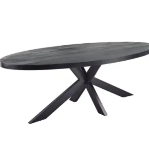 Zwarte Eettafel Mangohout Ovaal met zwarte matrixpoot van metaal - 160x90 cm Meest Verkocht
