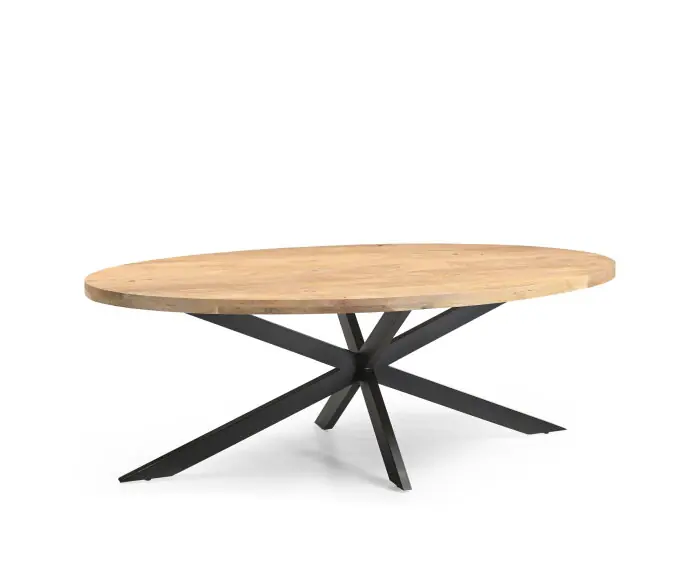 Direct Verzonden Eetkamertafel Ellips 25+25 240